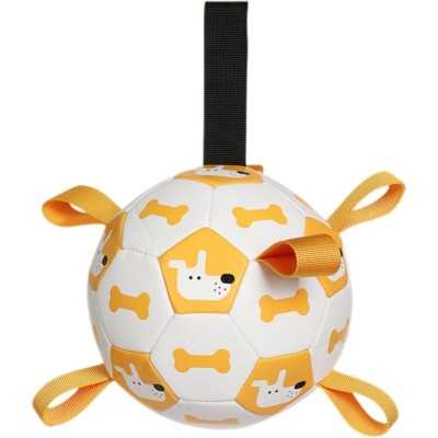 Jouet interactif sûr et durable pour animaux de compagnie