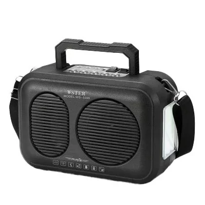 WSTER RADIO WS-5399