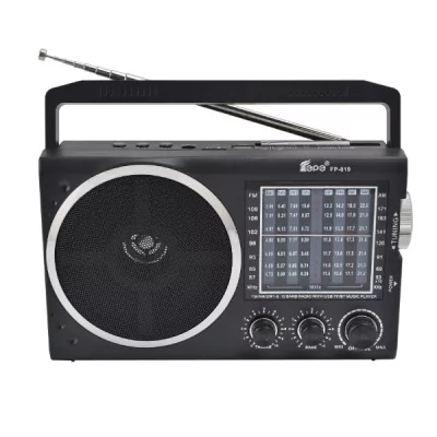 Radio Multi-Bandes FEPE FP-819