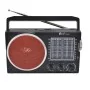 Radio Multi-Bandes FEPE FP-819