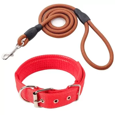 Laisse de 1m et collier pour petit chien