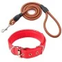 Laisse de 1m et collier pour petit chien