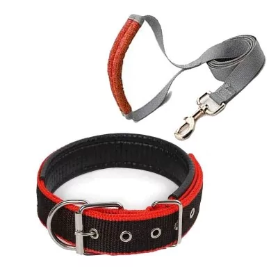 1 Laisse 1m5 et un Collier pour chien