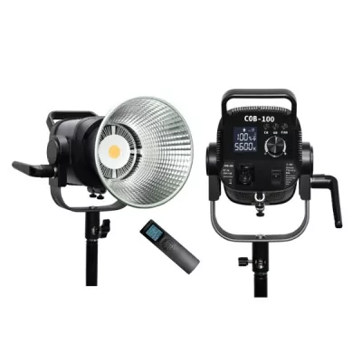 Éclairage LED professionnel COB-100WRC 100W