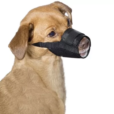 Muselière pour chiens de taille moyenne - Taille L