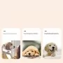 Boutons de communication pour chien