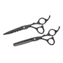 ENSEMBLE CISEAUX POUR CHEVEUX D78-PS022