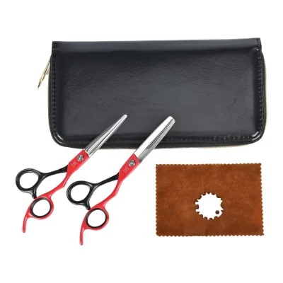 ENSEMBLE CISEAUX POUR CHEVEUX 6.0 NG-PS006A/B