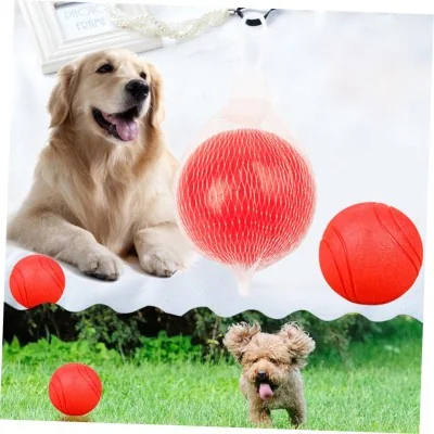 Balle Jouet pour Chien