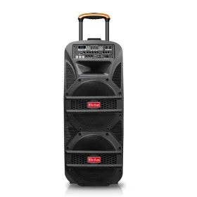 Haut-parleur Karaoké Professionnel Su-Kam Falcon+ BT1515D - Bluetooth, Portable, 2 Micros Inclus