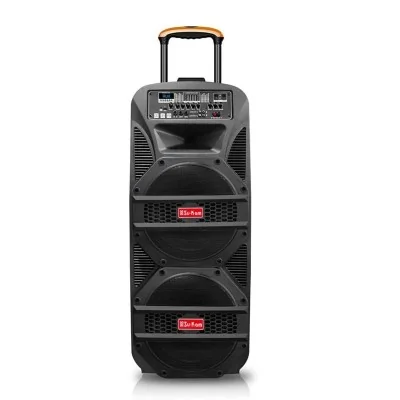 Haut-parleur Karaoké Professionnel Su-Kam Falcon+ BT1515D - Bluetooth, Portable, 2 Micros Inclus