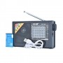 NNS Radio Rechargeable World Band avec USB/TF NS-1520U