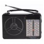 GOLON Radio FM RX-606AC