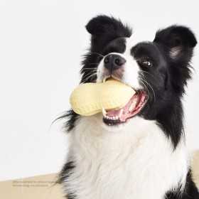 Jouet Cacahuète à Mâcher pour Petit Chien