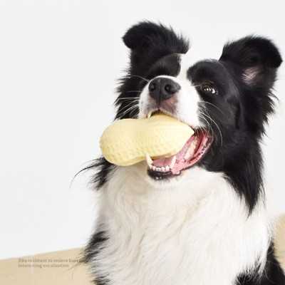 Jouet Cacahuète à Mâcher pour Petit Chien