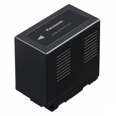 PANASONIC BATTERIE NUMERIQUE CGA-D54SE/1H