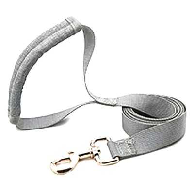 Laisse promenade en Nylon pour chien