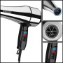 Sèche-cheveux professionnel WMARK NG-2200