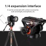 COMAN TRIPIED CAMERA DF-06Q5S