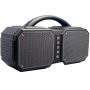 WSTER Haut-Parleur Bluetooth sans fil WS-1661