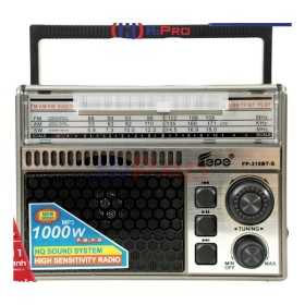 FEPE RADIO FP-310BT-S